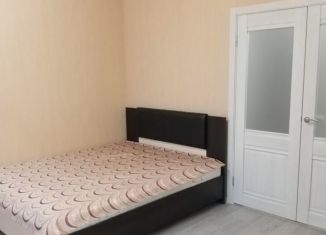 Сдаю в аренду квартиру студию, 42 м2, Курск, улица Домостроителей, 17