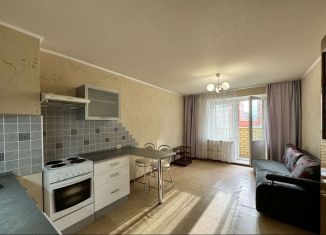 Продается квартира студия, 24 м2, Киров, улица Ленина, 184к3