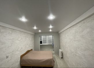 1-ком. квартира в аренду, 25 м2, Пятигорск, улица Орджоникидзе, 11к2