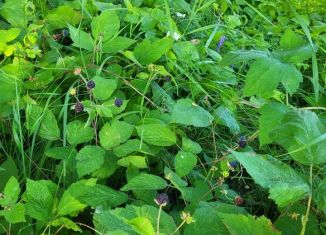 Продам участок, 6 сот., деревня Жёдочи, деревня Жёдочи, 34/1