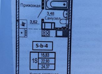 Продаю квартиру студию, 23 м2, городской посёлок Новоселье, Центральная улица, 6к2, ЖК Дельта