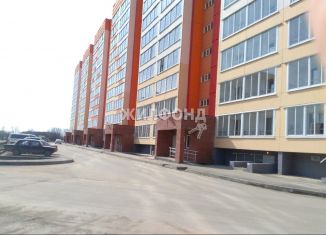 Продажа квартиры студии, 19.9 м2, Новосибирск, улица Дмитрия Шмонина, 4, ЖК Матрёшкин Двор