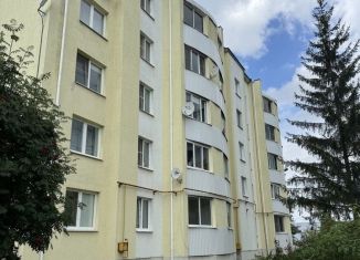 Продается трехкомнатная квартира, 68.1 м2, село Патруши, Тепличная улица, 4