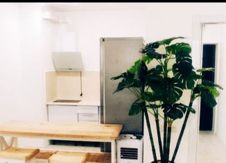 Сдаю квартиру студию, 35 м2, Улан-Удэ, улица Смолина, 61