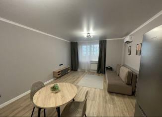 Сдается квартира студия, 40 м2, Ростов-на-Дону, Заводская улица, 11