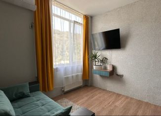 Продажа квартиры студии, 24 м2, село Краевско-Армянское, Измайловская улица, 20Ак1