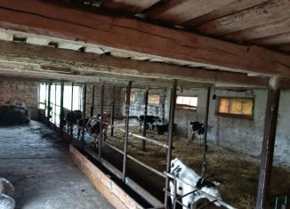 Продаю помещение свободного назначения, 493.1 м2, посёлок Буланаш, Трудоармейская улица, 2