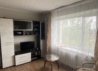 Сдам в аренду 2-комнатную квартиру, 41 м2, Елизово, улица Рябикова, 49