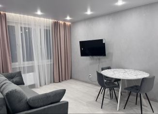 1-ком. квартира в аренду, 41 м2, Анапа, улица Ленина, 235, ЖК Горгиппия Морская