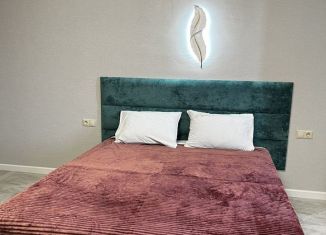 Сдам в аренду квартиру студию, 33 м2, Таганрог, улица Чехова, 49