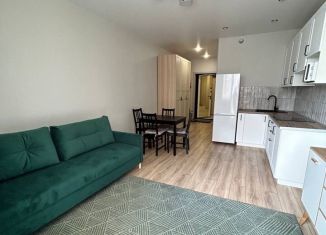 Аренда квартиры студии, 27.8 м2, Реутов, Носовихинское шоссе, 43, ЖК Новокосино-2