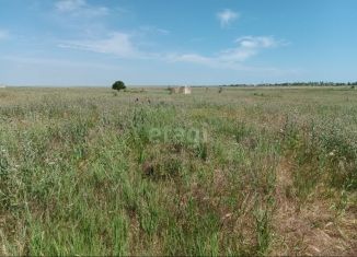 Продам участок, 6.6 сот., СНТ Нептун