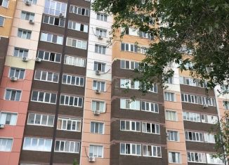 Сдам в аренду 1-комнатную квартиру, 43 м2, Оренбург, Комсомольская улица, 199/1