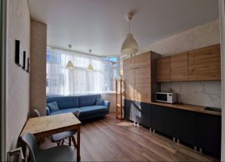 Аренда 1-ком. квартиры, 50 м2, Темрюк, улица Анджиевского, 55Ак7