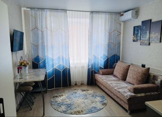 Квартира в аренду студия, 20 м2, Уфа, улица Аксакова, 58