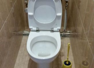 Сдача в аренду однокомнатной квартиры, 35 м2, Петергоф, Чебышёвская улица, 6/12