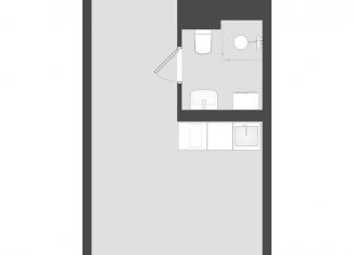 Продается квартира студия, 20.9 м2, Санкт-Петербург, метро Звёздная