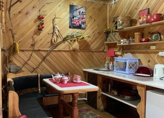 Сдается в аренду дом, 43 м2, село Турочак, Амональная улица, 8