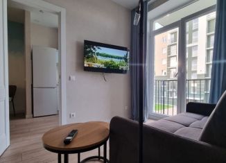 Сдается 1-ком. квартира, 30 м2, Пионерский, улица Гептнера, 15