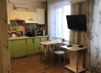 Сдача в аренду квартиры студии, 25 м2, Москва, 2-я Пугачёвская улица, 8к4, ВАО