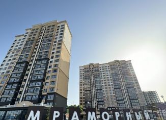 1-комнатная квартира на продажу, 40 м2, село Мирное