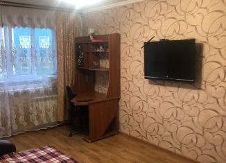 Сдаю 1-комнатную квартиру, 30.4 м2, Петропавловск-Камчатский, проспект Рыбаков, 12, микрорайон Дачный