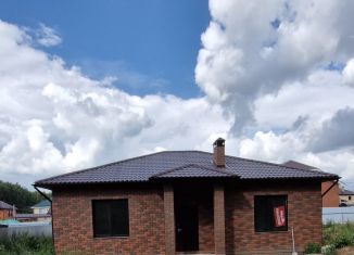Коттедж на продажу, 100 м2, деревня Зимняя Горка, Центральная улица, 16