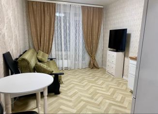 Квартира в аренду студия, 25 м2, Санкт-Петербург, Русановская улица, 20к3, муниципальный округ Народный