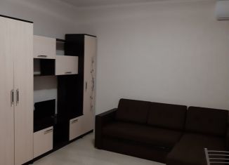 Сдам в аренду квартиру студию, 22 м2, Аксай, Донская улица, 10