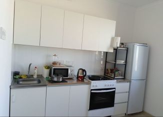 Аренда 1-ком. квартиры, 40 м2, Москва, улица Расплетина, 3к5, улица Расплетина