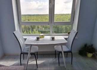 1-ком. квартира в аренду, 41.4 м2, Челябинск, улица Академика Макеева, 28, ЖК Ньютон