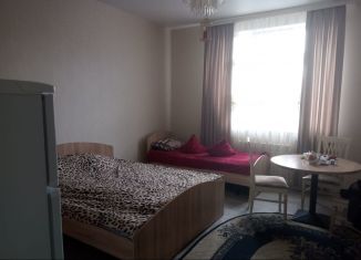 Сдаю 1-ком. квартиру, 30 м2, деревня Дудкино, СНТ Круиз, 245