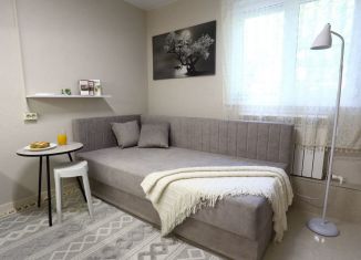 Сдам в аренду квартиру студию, 15 м2, Пятигорск, проспект Калинина, 2к3