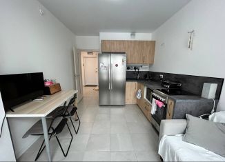 Продажа 1-комнатной квартиры, 38.5 м2, Санкт-Петербург, Дальневосточный проспект, 35к1, Дальневосточный проспект