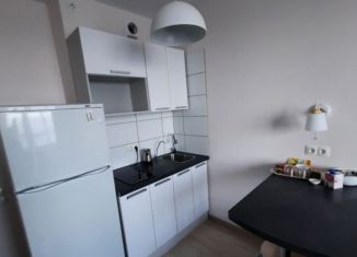 Квартира на продажу студия, 22.1 м2, Мурино, проспект Авиаторов Балтики, 31, ЖК Цвета радуги