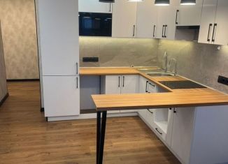 Сдам однокомнатную квартиру, 42.6 м2, Пушкин, Гумилёвская улица, 15