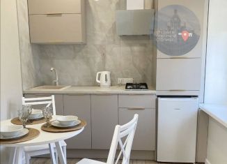 Продажа квартиры студии, 23 м2, Санкт-Петербург, улица Рубинштейна, 27, метро Достоевская