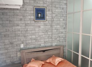 Сдаю в аренду 1-комнатную квартиру, 24 м2, Сочи, Ясногорская улица, 16/2к2