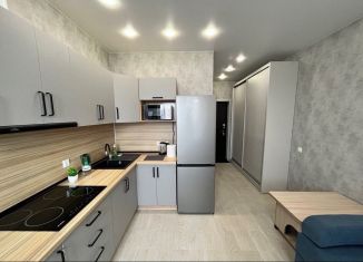 Сдам квартиру студию, 23 м2, Краснодар, Восточно-Кругликовская улица, 42/3к2, ЖК Гарантия