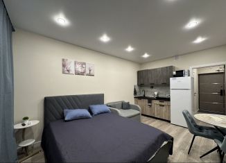 Сдача в аренду однокомнатной квартиры, 27 м2, Сочи, улица Искры, 88к3, микрорайон Кудепста