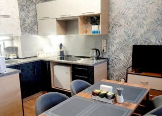 Сдача в аренду квартиры студии, 29.1 м2, посёлок Шушары, Ростовская улица, 5к3