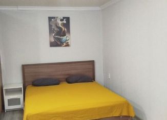 1-ком. квартира в аренду, 29 м2, Республика Башкортостан, улица Пархоменко, 99