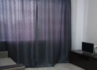 Сдача в аренду 1-ком. квартиры, 32 м2, Санкт-Петербург, улица Десантников