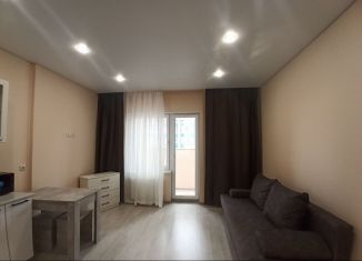 Сдаю в аренду квартиру студию, 25 м2, Республика Башкортостан, Новоуфимская улица, 17