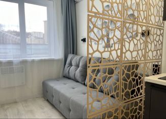 Сдаю квартиру студию, 20 м2, Сочи, улица Конституции СССР, 50, микрорайон Заречный