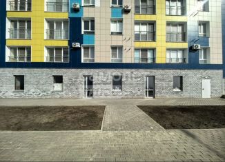 Продаю помещение свободного назначения, 39.7 м2, Волгоград, улица имени Комиссара Милиции Бирюкова, 7