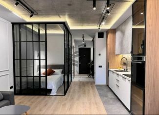 Сдам в аренду 1-ком. квартиру, 45 м2, Казань, улица Вишневского, 57А