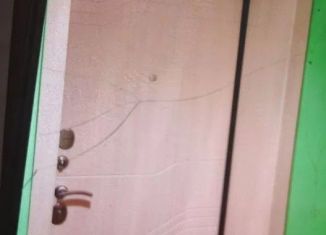 Сдам в аренду 1-комнатную квартиру, 30 м2, Искитим, микрорайон Центральный, 22