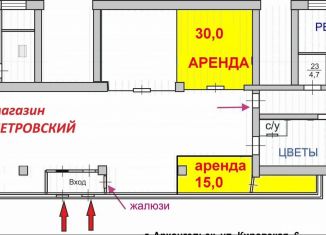 Сдаю в аренду помещение свободного назначения, 30 м2, Архангельск, Кировская улица, 6