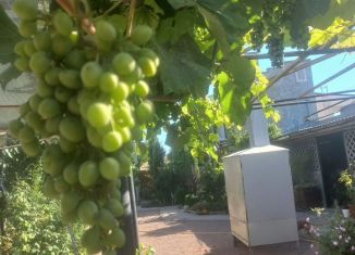 Сдаю в аренду комнату, 18 м2, поселок городского типа Заозерное, Космическая улица, 15А